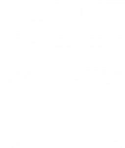 BathFlip_Logo(RGB)_White-Vertical